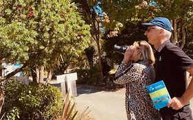 Kauri Coast Top 10 Holiday Park